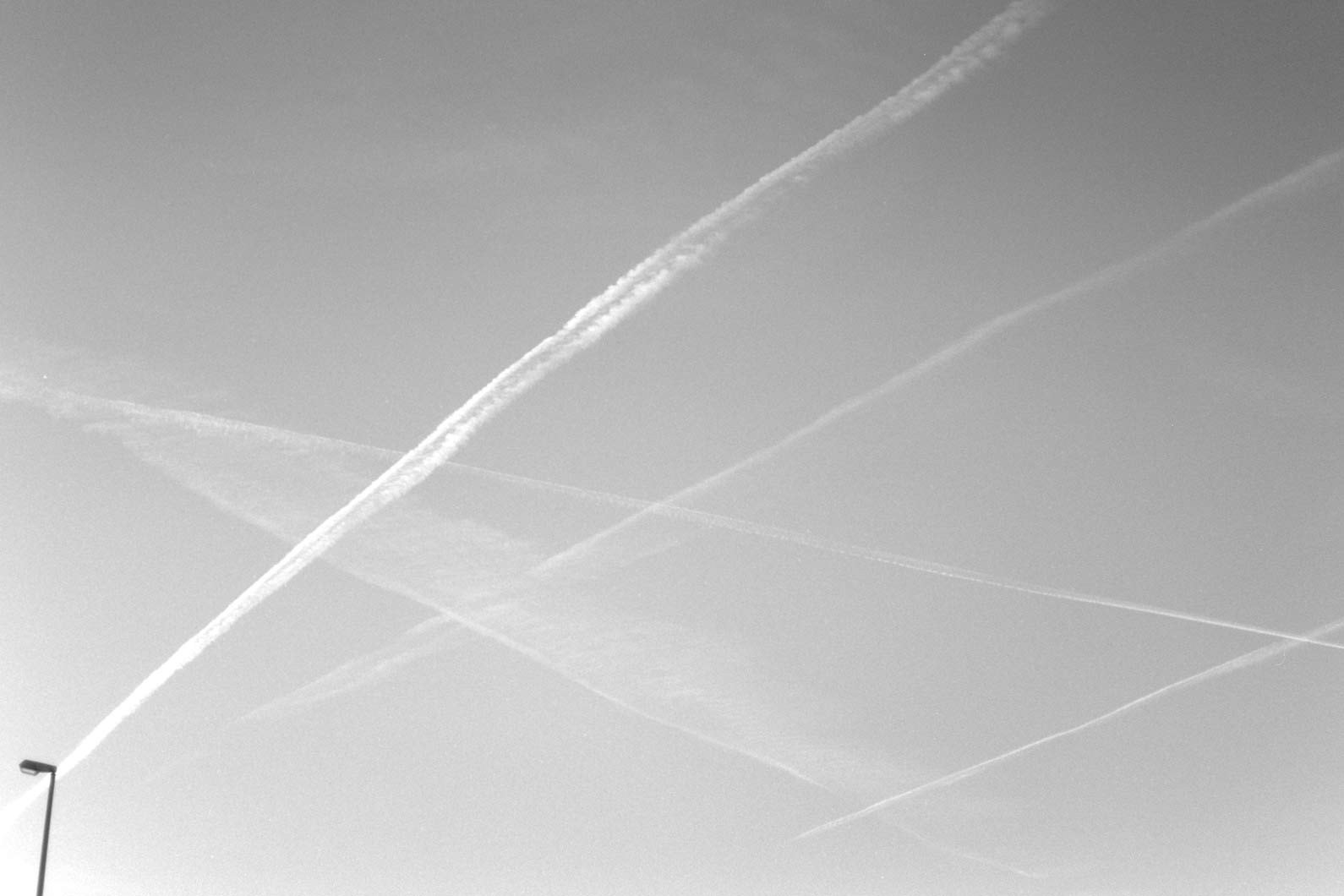 2013-12-bw-19-1590